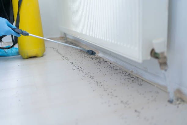 Best Best Pest Control Companies  in Belleville, KS
